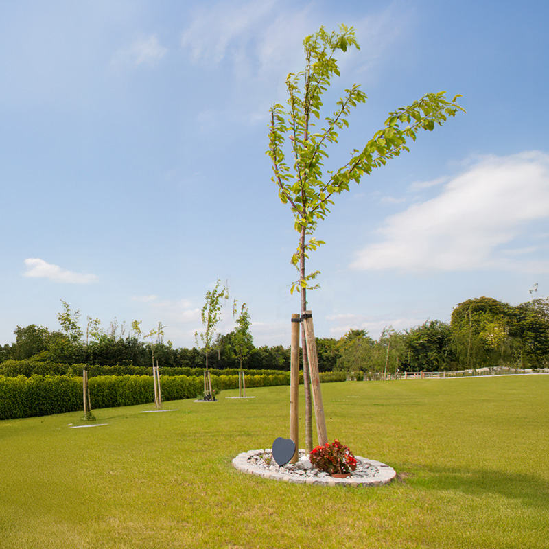 Maldon Fields Crematorium